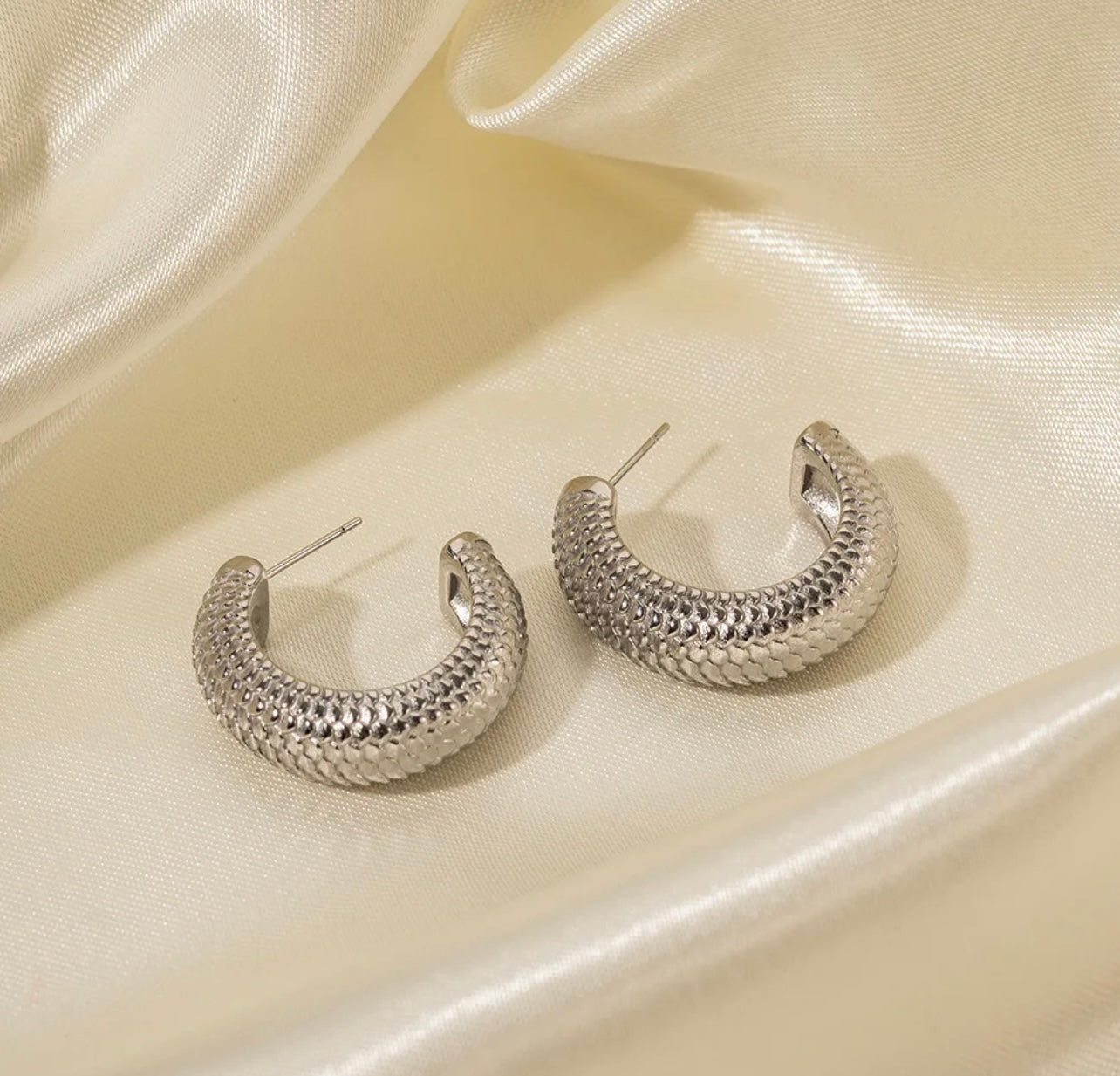 Earrings silver